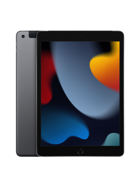 10.2-inch iPad Wi-Fi + Cellular 256GB - Space Grey